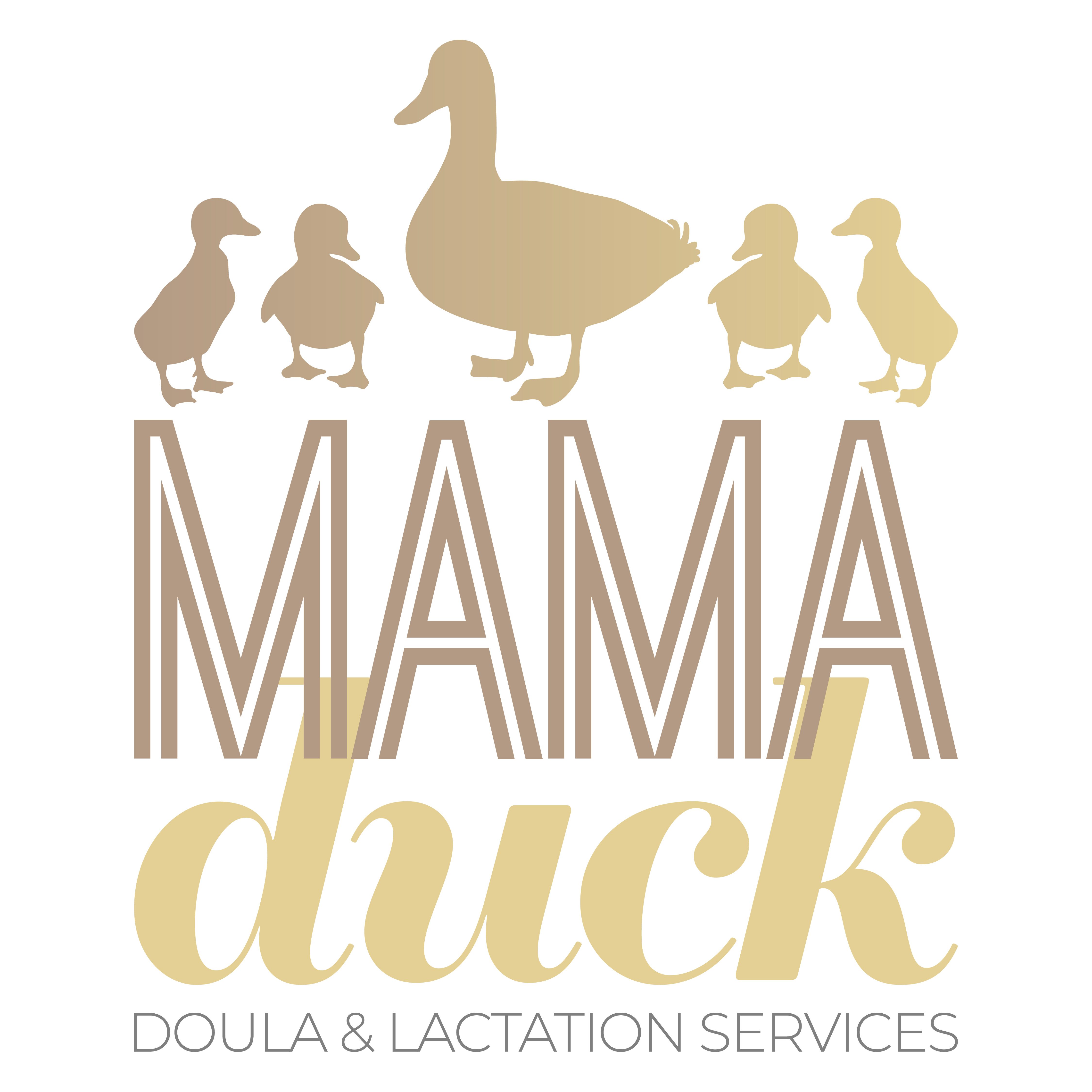 Minnesota Doula, Lactation Consultant, and Car Seat Technician